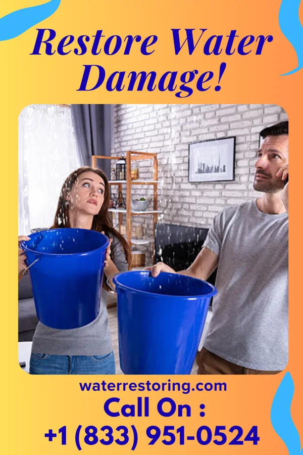 water restoration Power Water Mitigation Authority Dargan