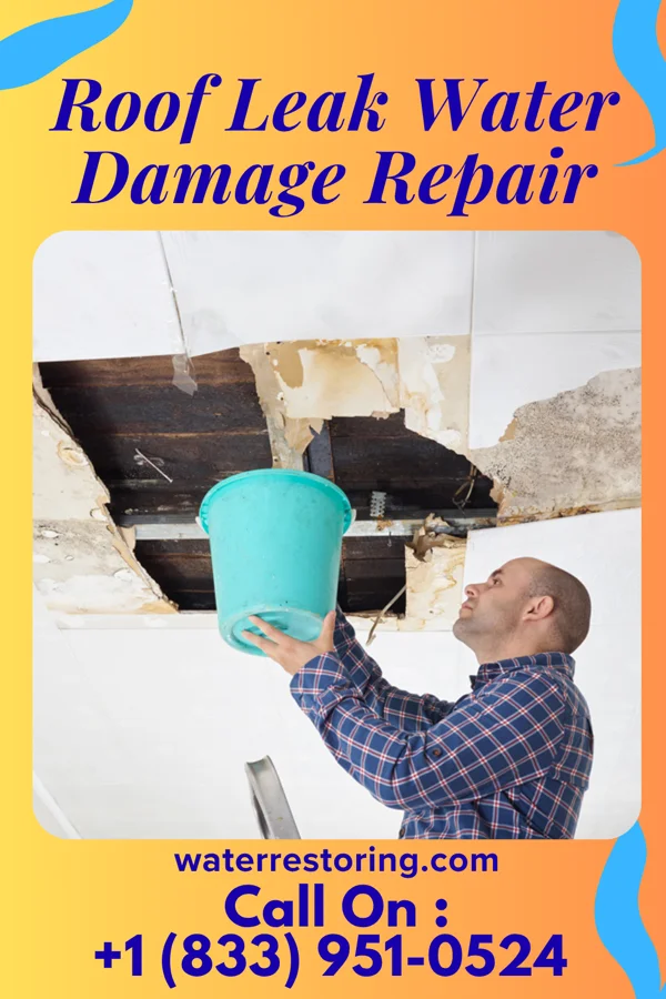 Roof Leak Water Damage Repair in Dargan, MD