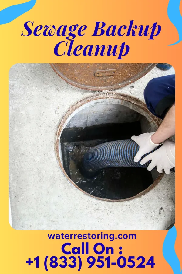 Sewage Backup Cleanup in Dargan, MD