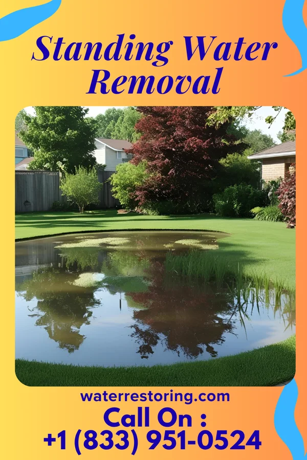 Standing Water Removal in Dargan, MD